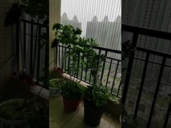 100kg容量のバルコンのグリル