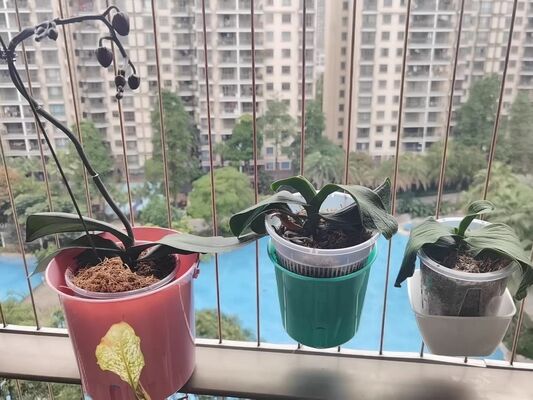 目立たないグリル プランターアクセサリー 中サイズ バルコニー用耐久性 目立たない格子ワイヤー