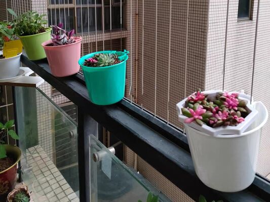 目立たないグリルの植木鉢クリップ 2.5mmワイヤー用 2.0mm固定クリップ 工業用ワイヤーメッシュおよび組立プロジェクト用