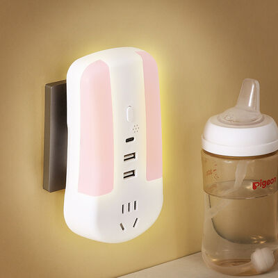 ポータブル電源ソケット 電源管理および分配